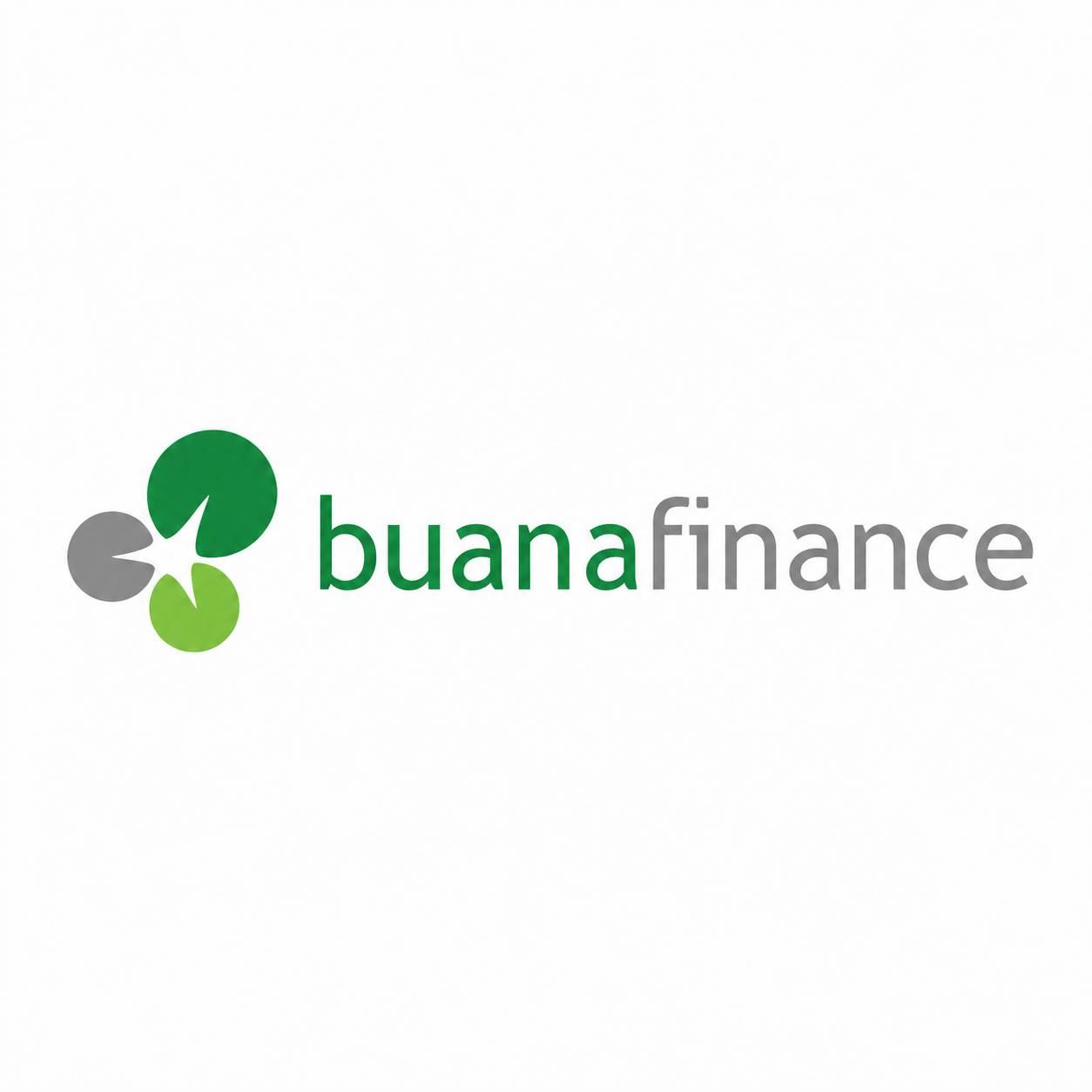 BUANA FINANCE