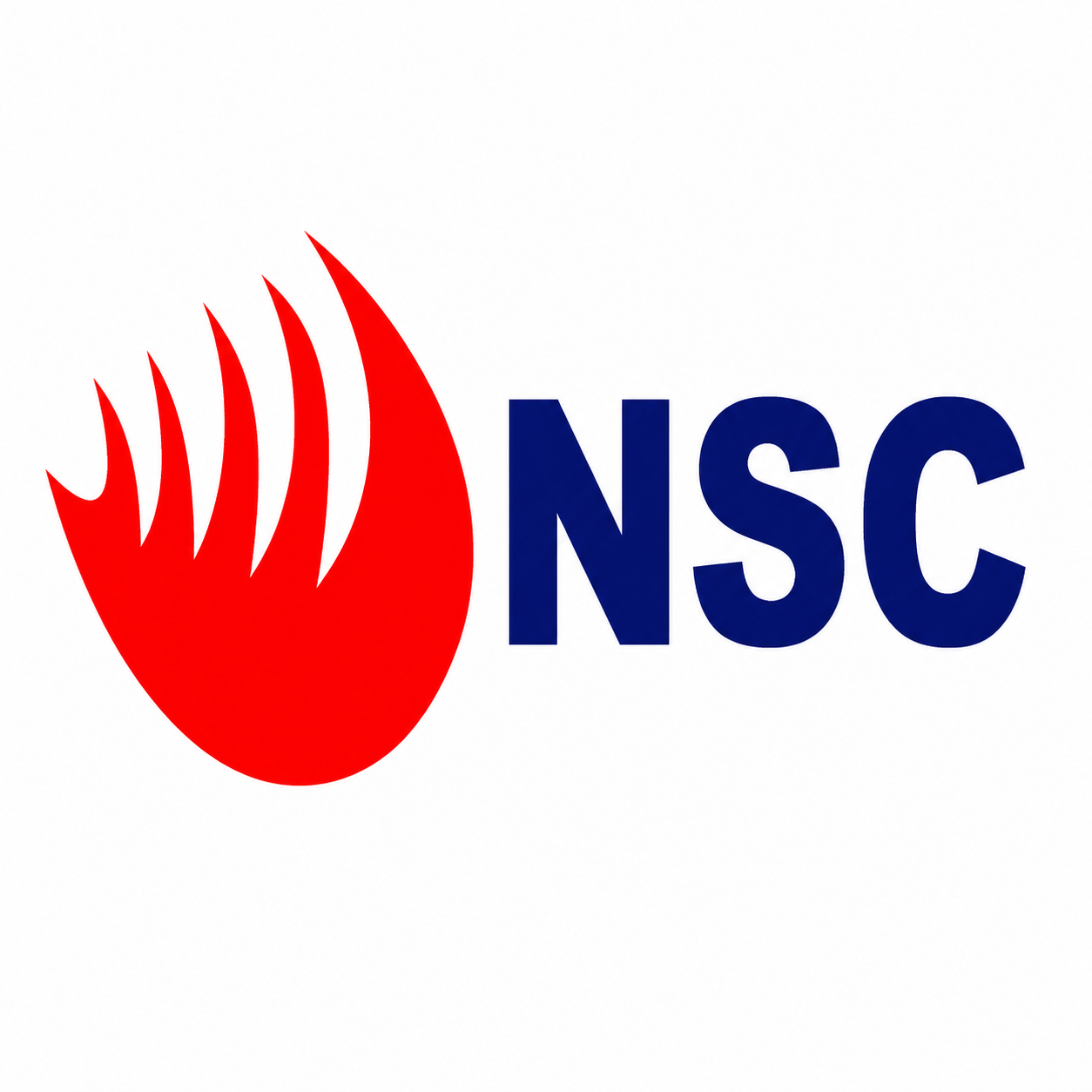 NSC FINANCE
